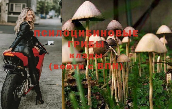 дистиллят марихуана Белокуриха
